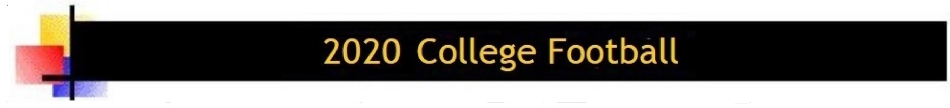 2020 banner
